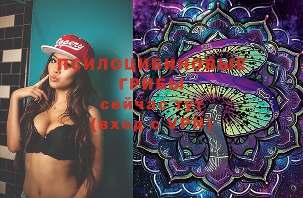 винт Приозерск