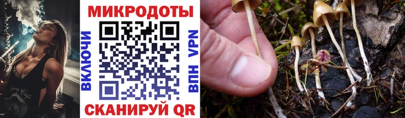 OMG ТОР shop клад Псилоцибиновые грибы прущие грибы Новотитаровская